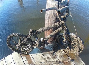 Magnet fishing: 25 najlepších nálezov lovcov pokladov